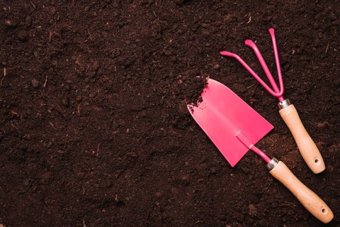 Gardening concept with shovel rake soil. High resolution photo