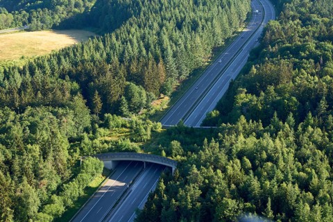 Game bridge on the A1 near Wittlich. Wittlich, Rhineland-Palatinate, Germany, Europe