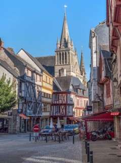 Half-timbered houses in the Rue Emile Burgault, Saint-Pierre Cathedral in the background in the old