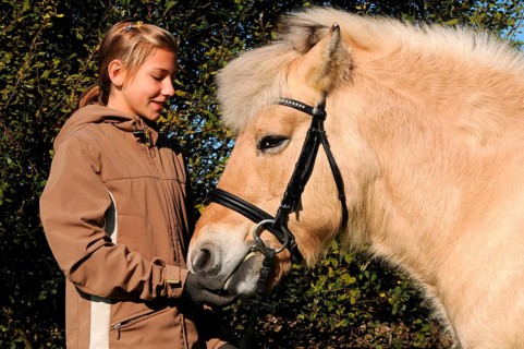 Girl and old horse, fjord horse, mare, 23 years old, norwegian, bridle