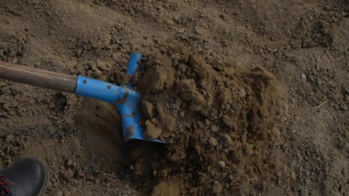 Shovel digging hole in the ground. Close up