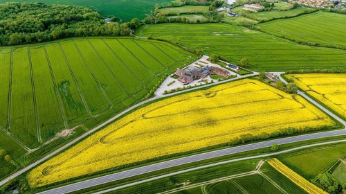 Aerial view, Denmark, Region Syddanmark, Christiansfeld, Agriculture and farms with grain and rape
