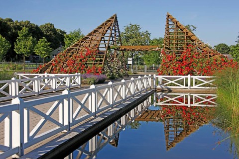 Pyramid, Rosarium, Hattersheim, Hesse