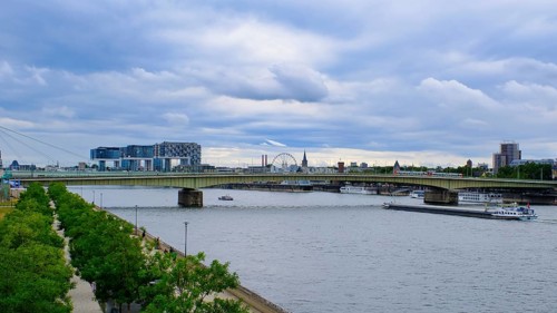 View over the Rhine with crane houses and bridge, trees in front, Cologne, Germany, Europe