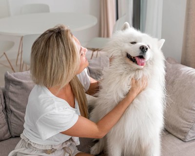 Front view beautiful woman dog