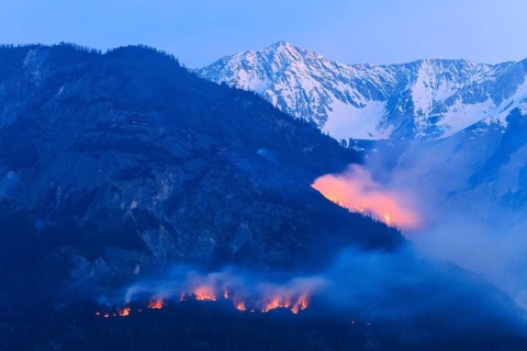 Forest fire on Mt Hochmahdkopf, Tyrol, Austria, Europe