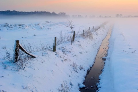 Moat, Boller Moor, Oldenburger Münsterland, Lower Saxony, Germany, Europe