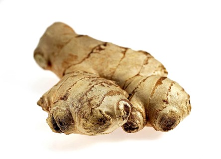 GINGER ROOT (zingiber officinale)