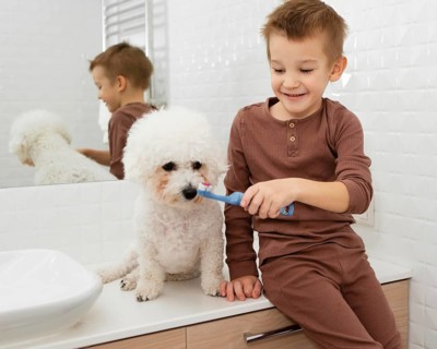 Boy helping his dog wash his teeth home