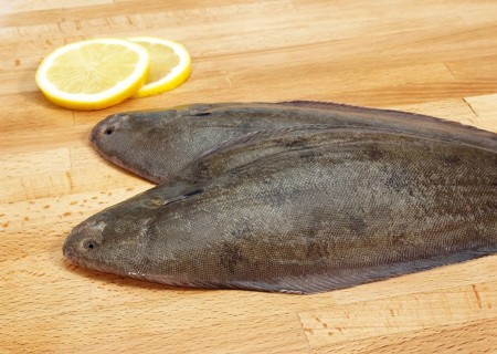 Sole, Sole (solea solea), Other animals, Fish, Flatfish, Animals, Sole Fish, Fresh Fish with Lemon