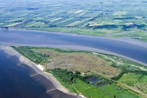 Elbe Island Pagensand, Elbe, Schleswig-Holstein, Germany, Europe