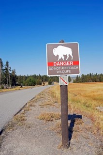 Bison warning sign, Upper Geyser Basin, Yellowstone National Park, Wyoming, USA, North America