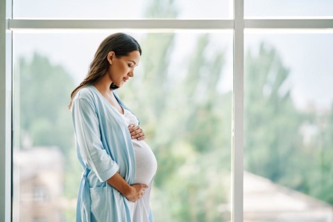 Portrait of young pregnant woman standing near window holding hands on her belly at modern home