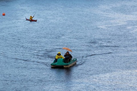 Symbolic picture weather, leisure activity, heavy rain in summer, people with umbrellas in rain