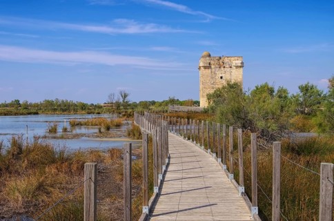 Aigues Mortes, Tour Carbonniere in the Camargue, Aigues Mortes, Tour Carbonniere in the Camargue,