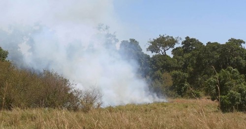 Savannah Fire, Masai Mara Park Kenya