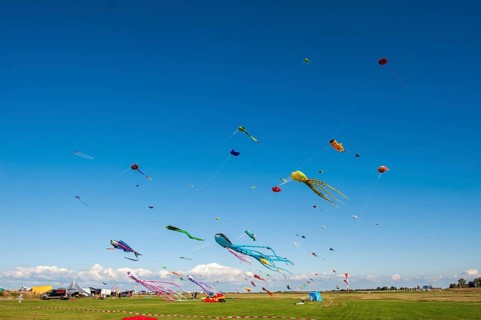 Kites in the sky at the Elbe Beach Festival 2022 in Otterndorf, Cuxhaven District, Lower Saxony,
