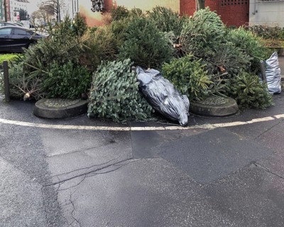 discarded christmas trees piled on street curb for garbage collection in Germany