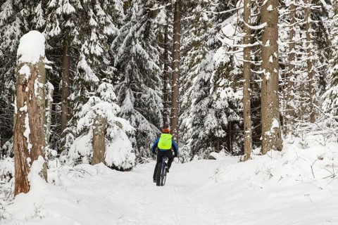 Hiking trail around the Oderteich in winter Harz National Park