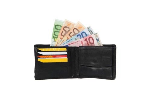 wallet with cash and credit cards