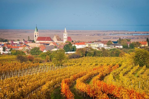 Town of Rust in Burgenland in Autumn