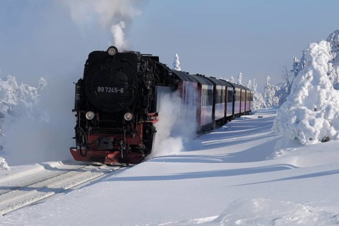 Brockenbahn, Harz National Park, Saxony-Anhalt, Germany, Europe