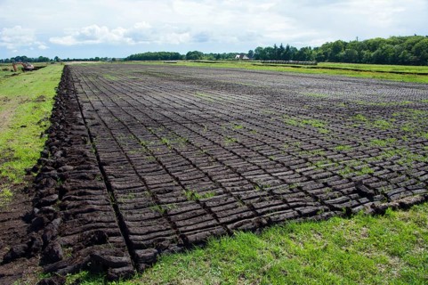 Peat pond, Wilhelmsfehn, Wiesmoor, Aurich, Lower Saxony, Germany, Europe