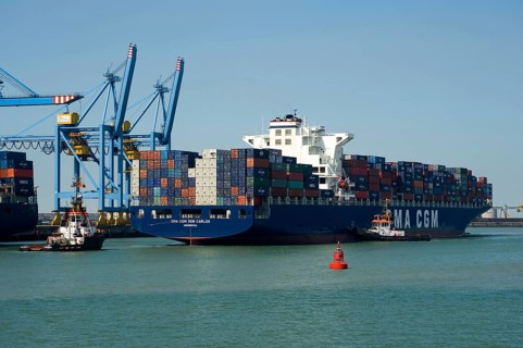 Container ship in port, Flanders, Zeebrugge, West Flanders, Belgium, Europe