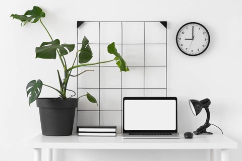 Desk arrangement with laptop plant