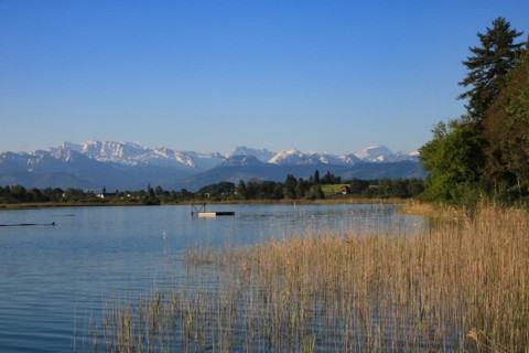 Clear spring morning at the shore of Lake Pfaffikon, Switzerland, Europe