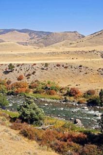 River in autumn, Yellowstone National Park, Montana, USA, North America