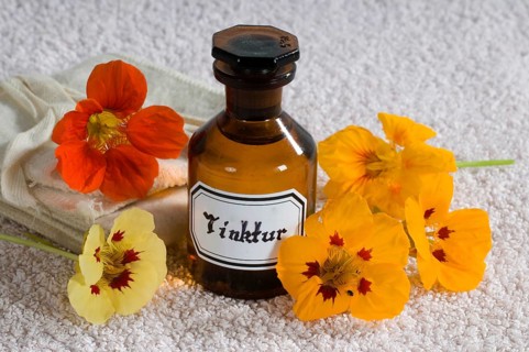 Nasturtium (Tropaeolum majus), nasturtium tincture (tincture)