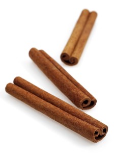Cinnamon Bark (cinnamomum zeylanicum), Spice against White Background