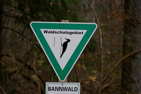 Sign in the forest, protected forest, forest reserve, woodpecker area, woodpecker, Schwäbisch Hall,