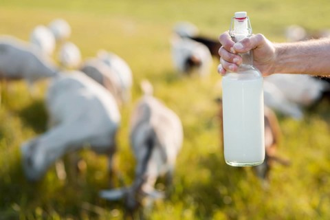 Close up man with bottle goat milk