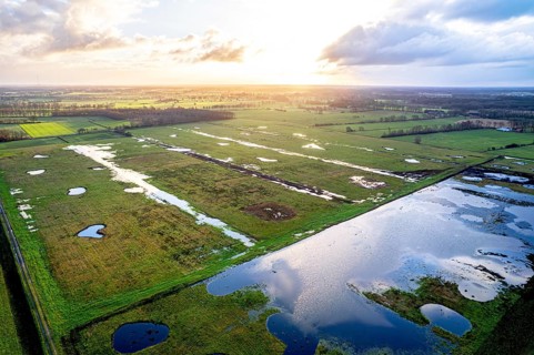Vreeser Wiesen Bockholter Dose drone image, rewetted bog area, Bockholter Dose nature reserve,