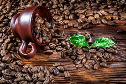 Coffee beans poured from the cup and leaves