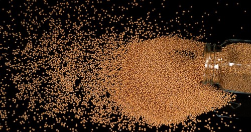 Mustard Seeds Falling on Black Background, Crockery