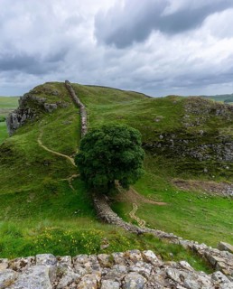 A view of the landmark Sycamore Gap on Hadrian's Wall in northern England