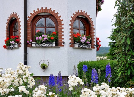 Garden with house, arched window with flowers, geraniums at the window outside, white roses in the