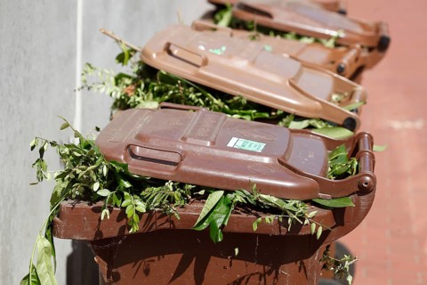 Organic bins, waste bins, Germany, Europe