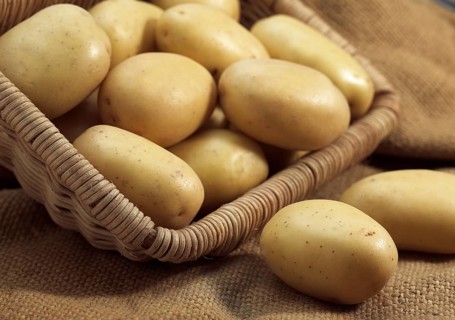 Mona Lisa Potato (Solanum tuberosum), Vegetables in Basket