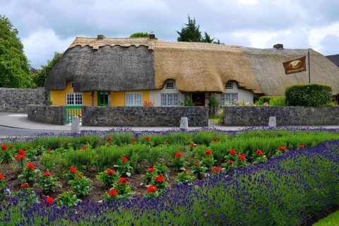 Country house, thatched house