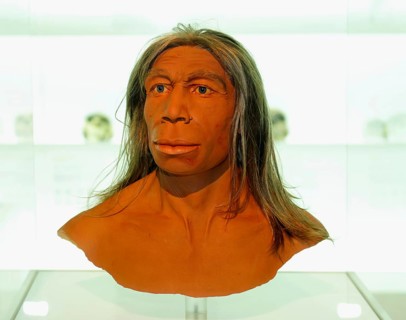 Modell, subject, mockup, Neandertal, Natural History Museum of Basel, Basel, Switzerland (Homo