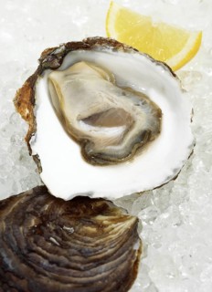 French oyster called Belon, fresh seafood on ice