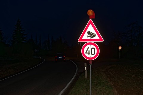 Traffic sign Toad migration, Toad migration, Forchtenberg, Hohenlohe, Heilbronn-Franconia,