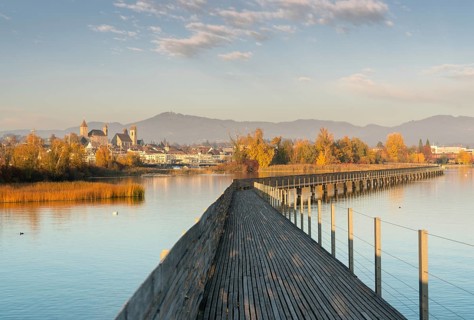 Landscape view of marsh and lake shore with the town of Rapperswil in evening light and a long