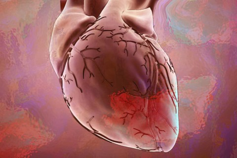 Illustration Heart Man
