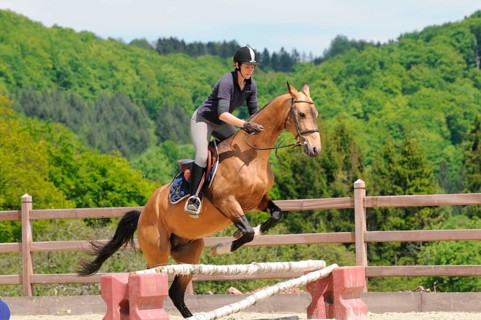 Rider with Achal-Tekkiner, Stallion, Riding, Jump, Obstacle, dun, Riding track