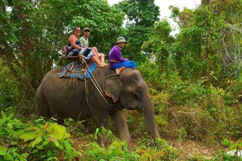 Elephant Riding, Rawai, Phuket Island, Thailand, Asia